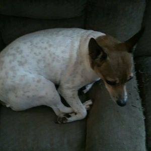 Meet your Posher, Gary